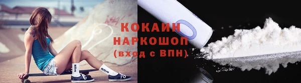 дживик Бородино