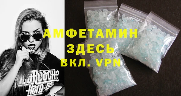 дживик Бородино