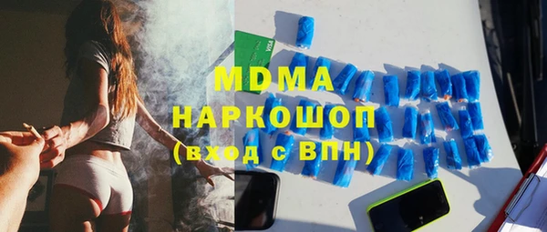 дживик Бородино