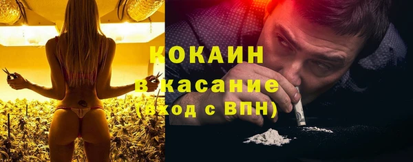 дживик Бородино