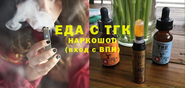 дживик Бородино