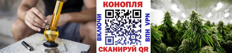 кракен ТОР  магазин продажи наркотиков  Балашиха  Конопля индика 